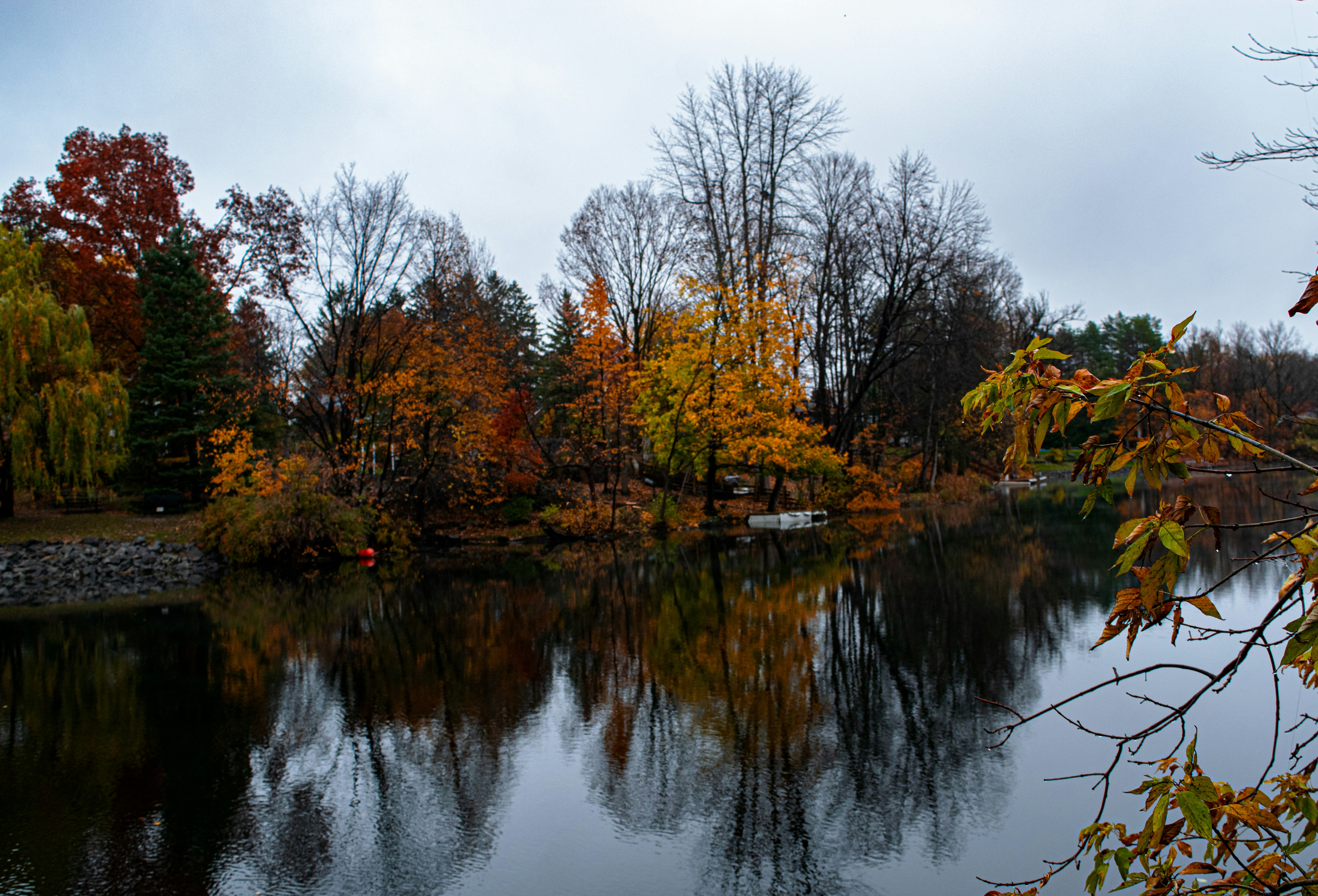 Photo by sandra_ruda