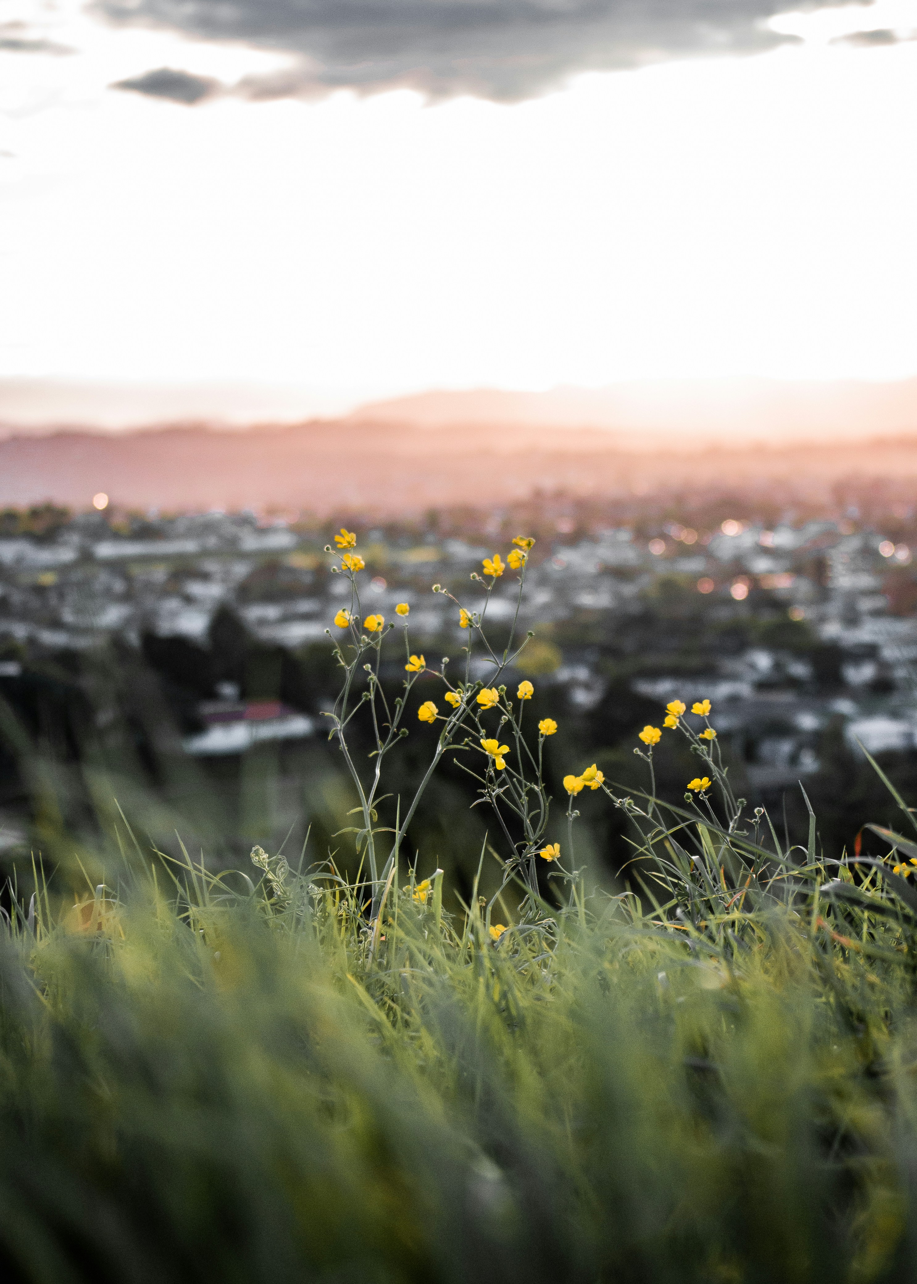 Photo by peterluo0113