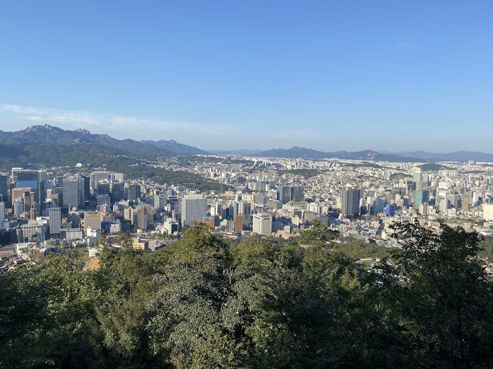 aerial view of city buildings during daytime