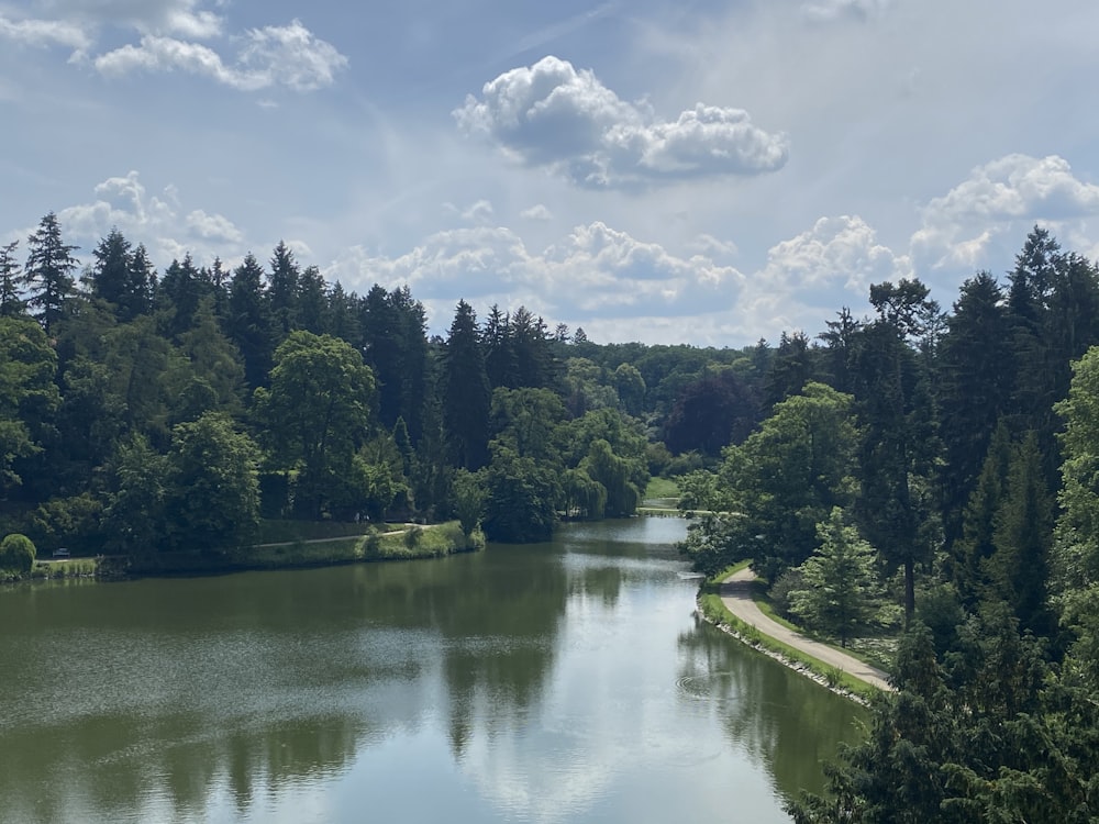 árboles verdes al lado del río bajo nubes blancas y cielo azul durante el día