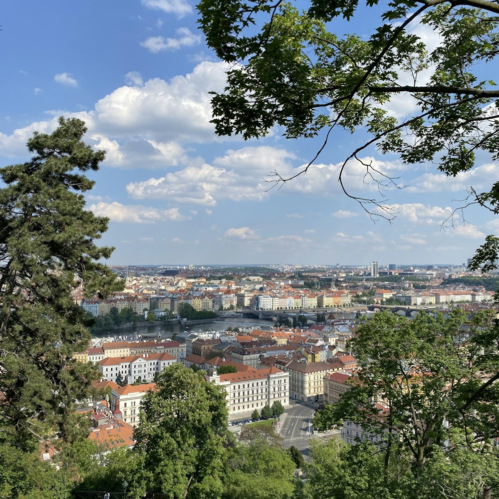 green trees near city buildings during daytime