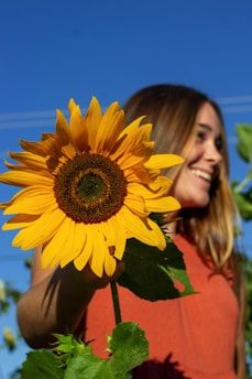 woman holding sunflower during daytime