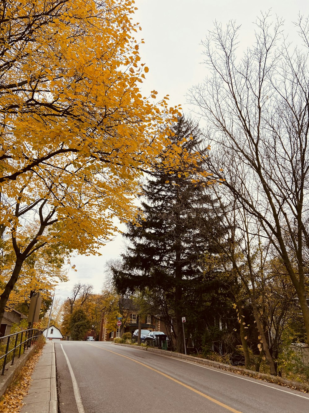 white car parked near trees during daytime