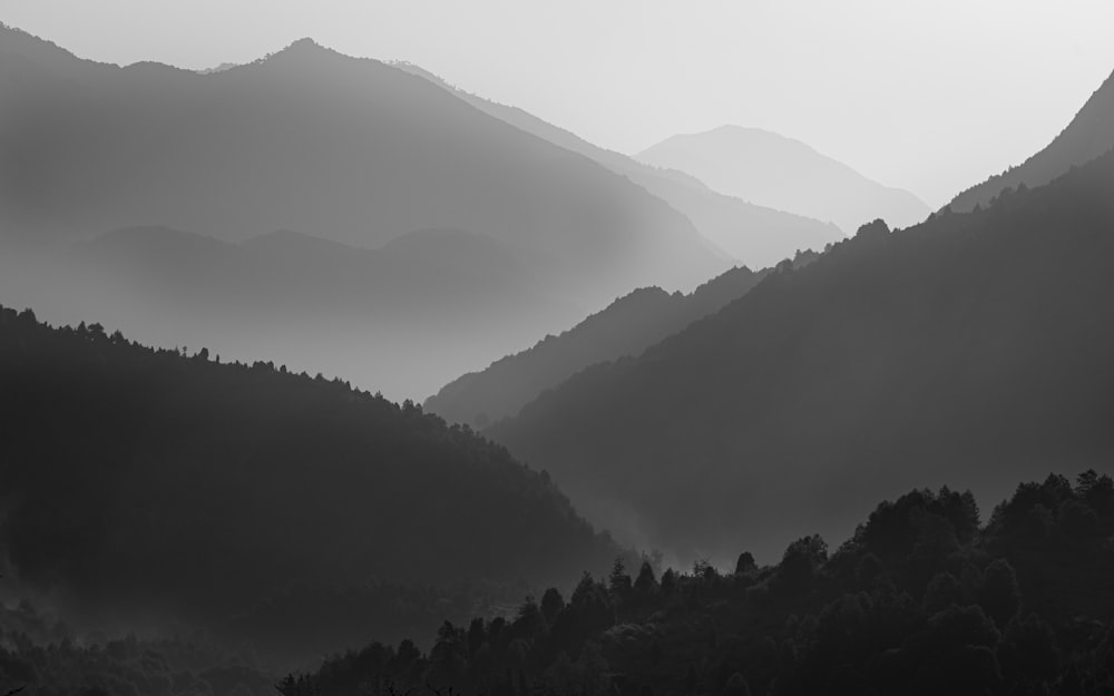 grayscale photo of mountains and trees