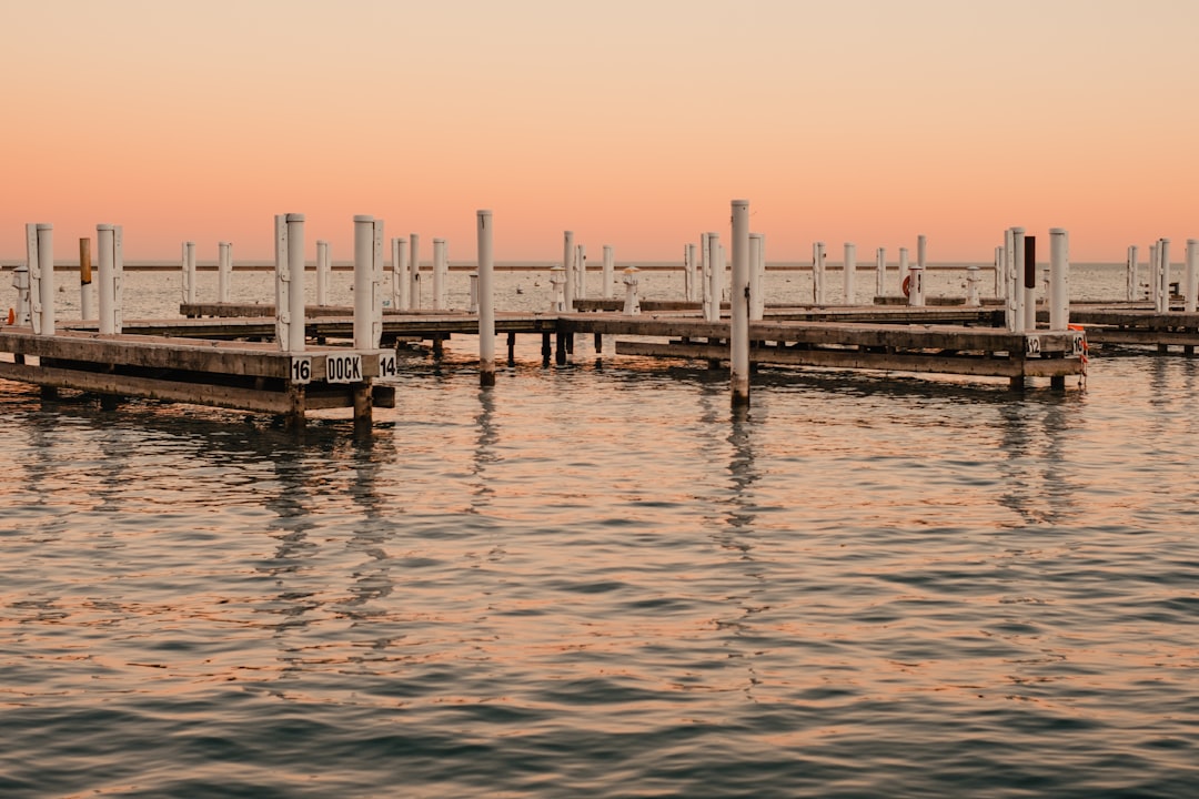 white and brown wooden posts on body of water during daytime