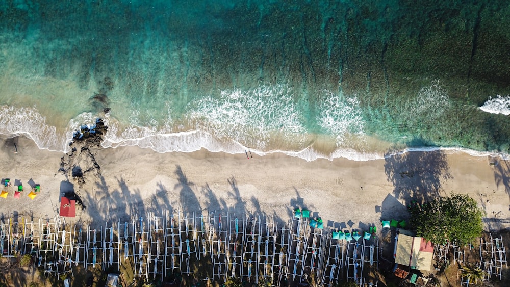 people on beach during daytime