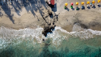 people on beach during daytime