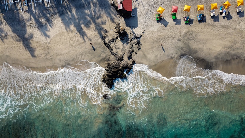 people on beach during daytime