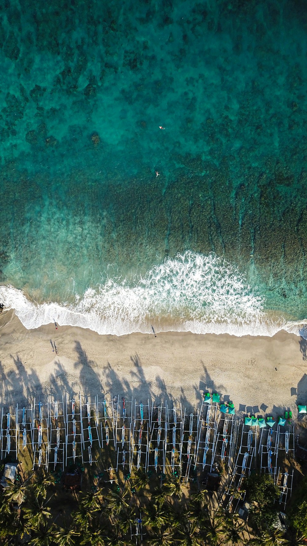 people on beach during daytime