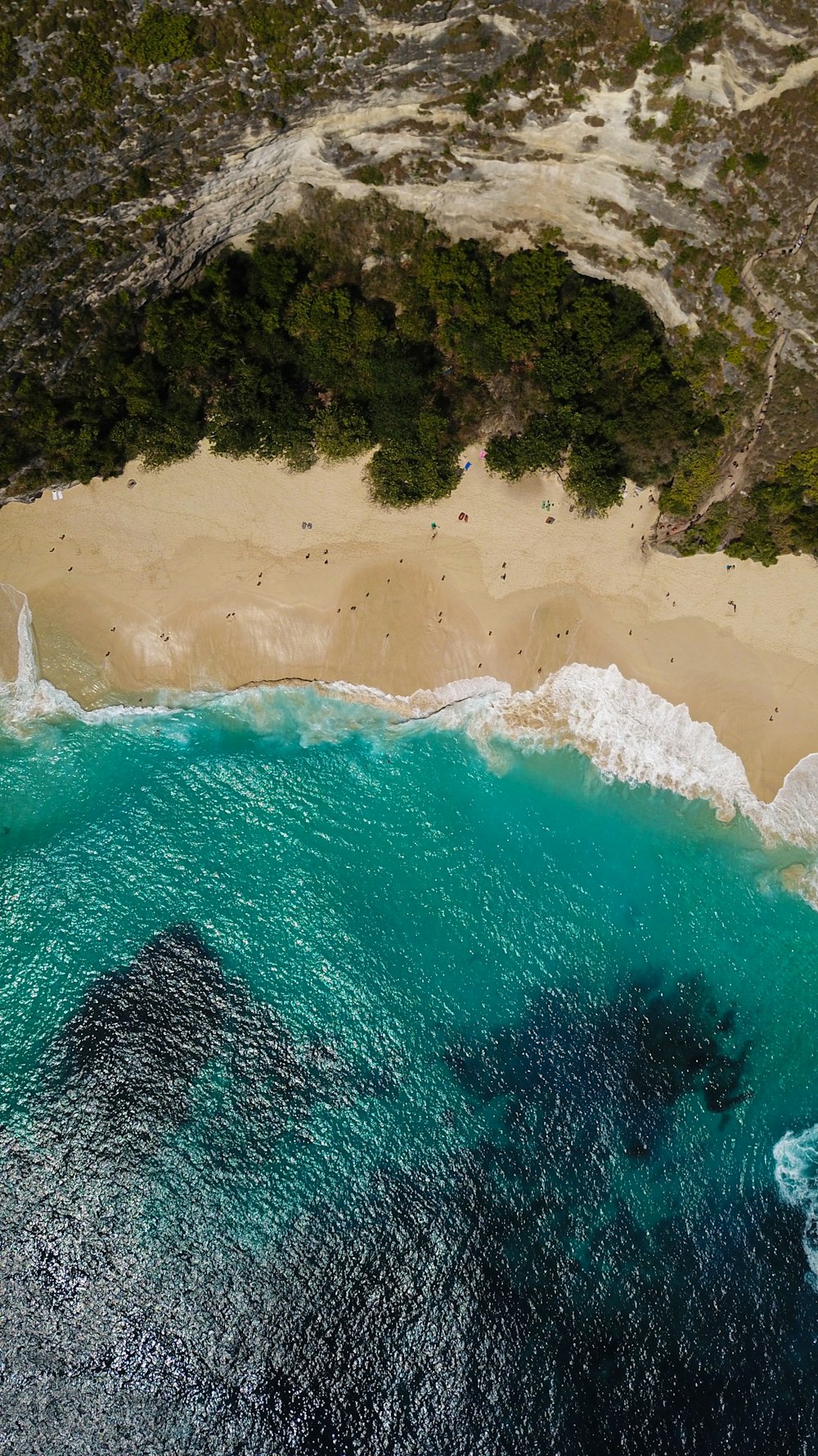 aerial view of beach during daytime