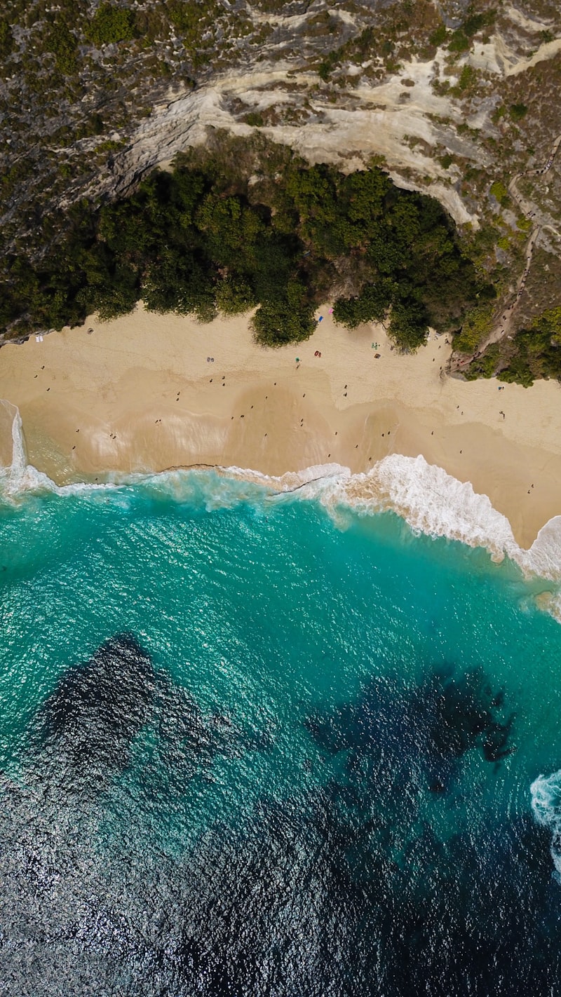 Compare travel deals