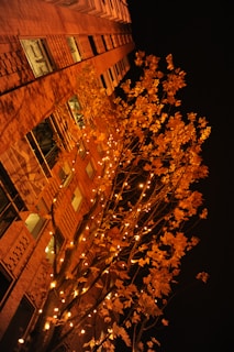 Evening view of the toothfairies creative co. llc building with warm lights glowing through the windows.