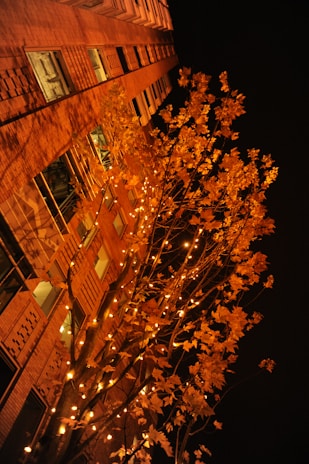 Evening view of the toothfairies creative co. llc building with warm lights glowing through the windows.