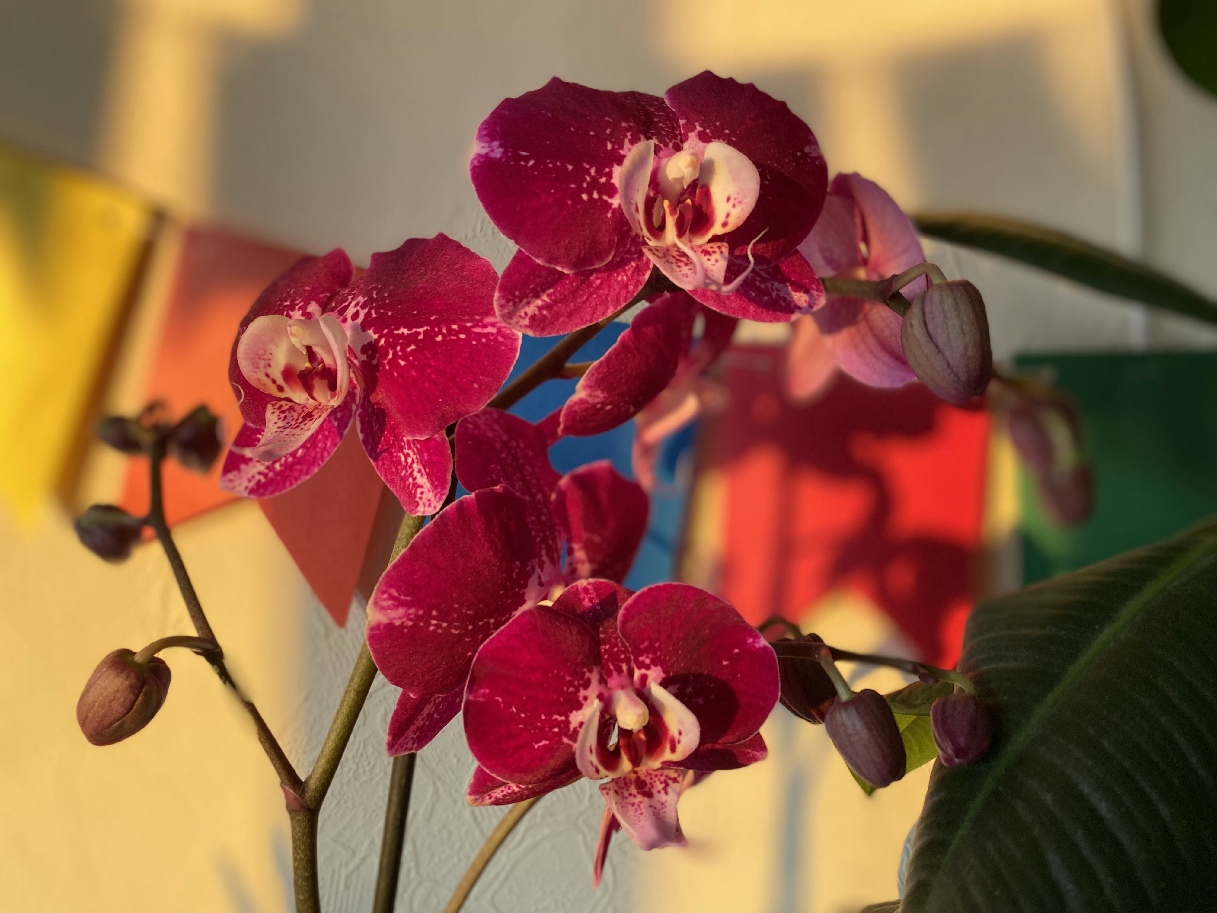 Photo by yaninazarina