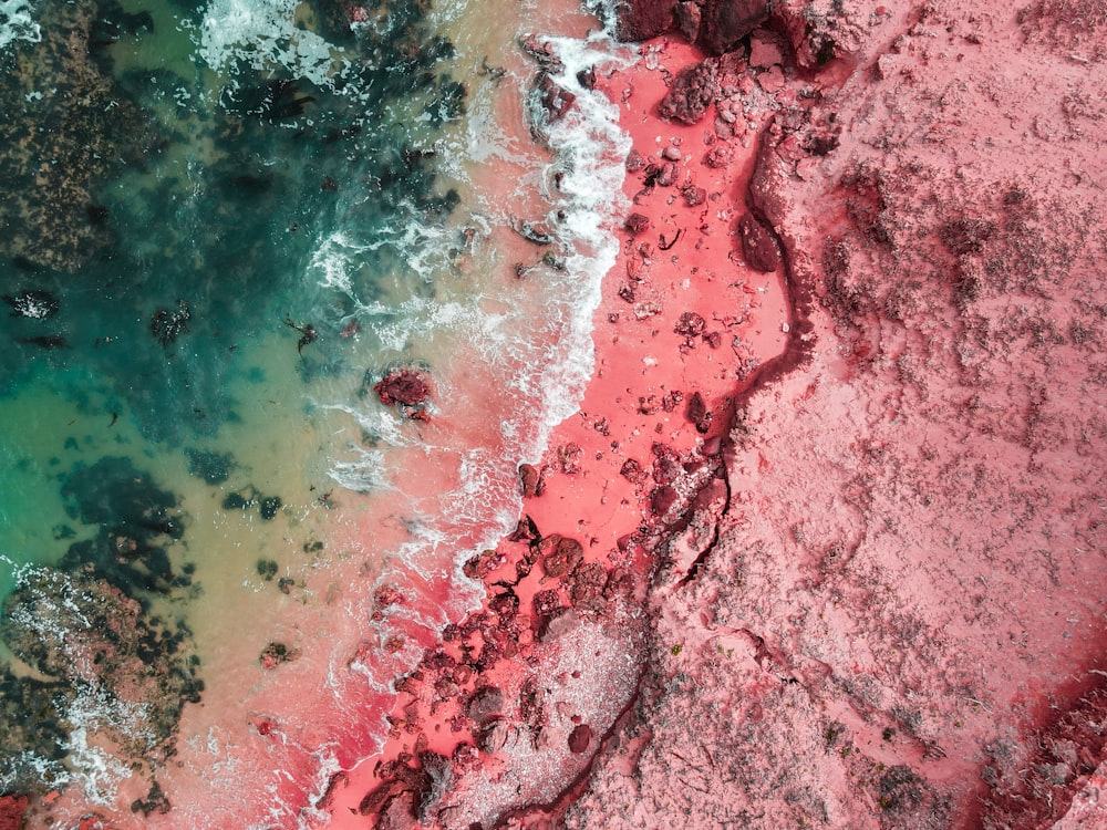 aerial view of beach during daytime