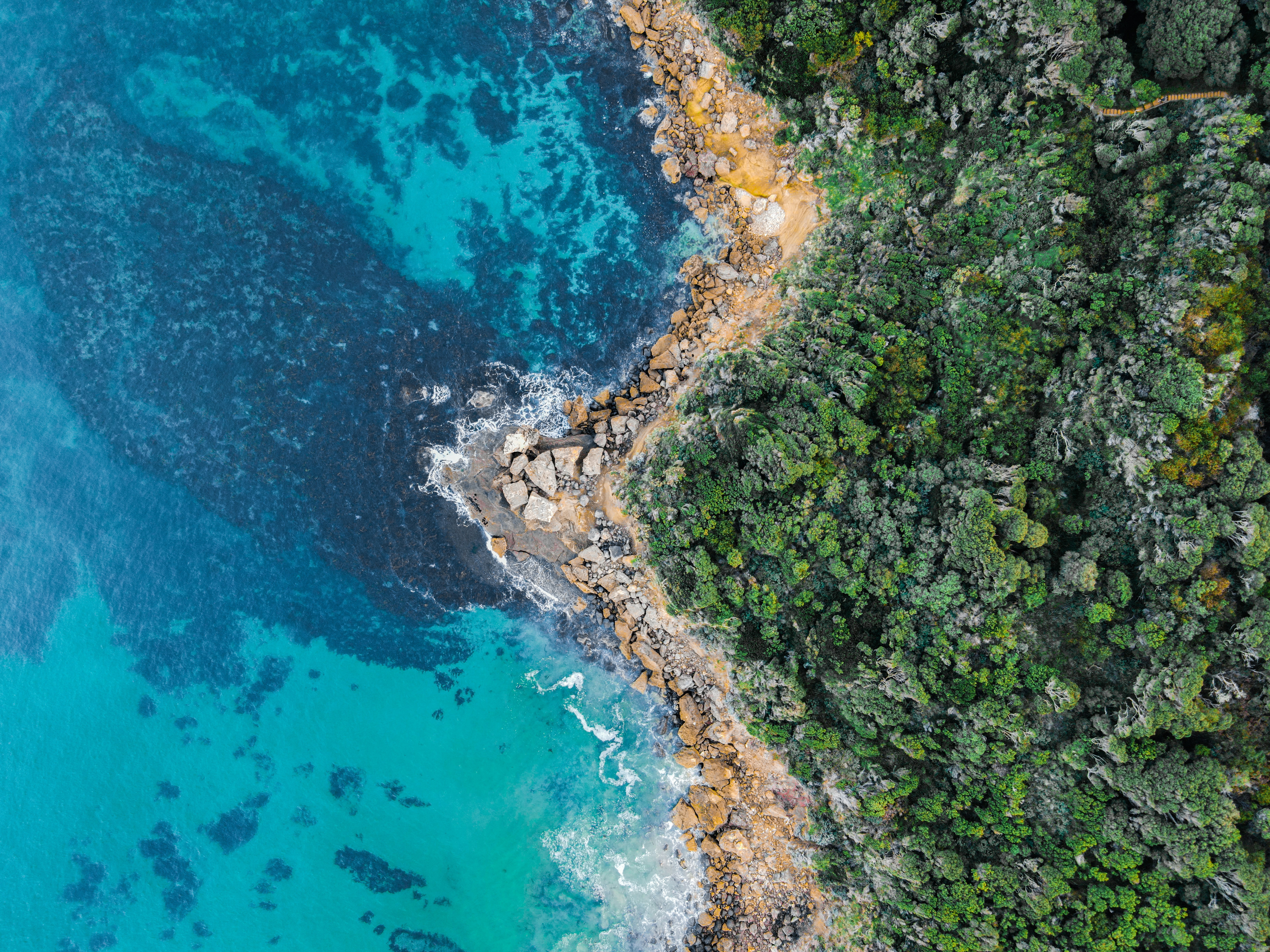 aerial view of green trees and blue sea during daytime, The world from above is a beautiful place.</p><p>Apart of Portland, Victoria