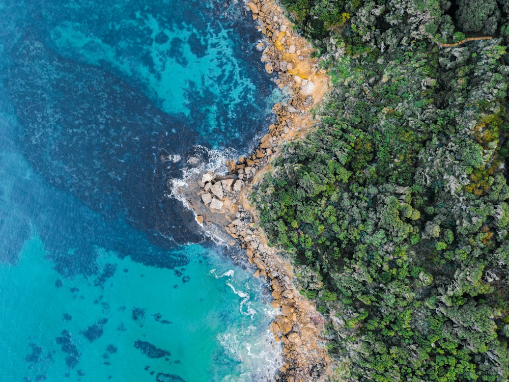 aerial view of green trees and blue sea during daytime