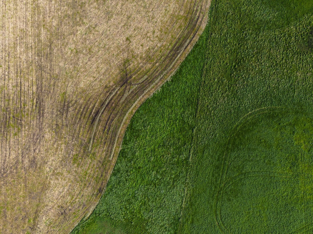 gray textile on green textile