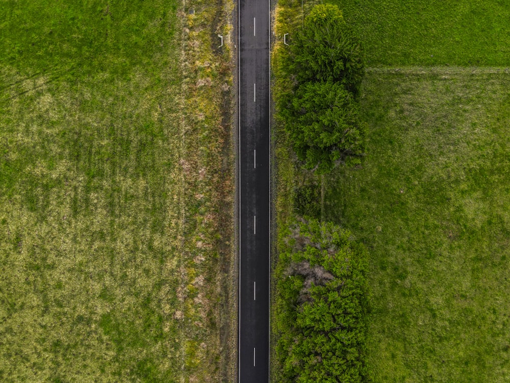 campo di erba verde durante il giorno