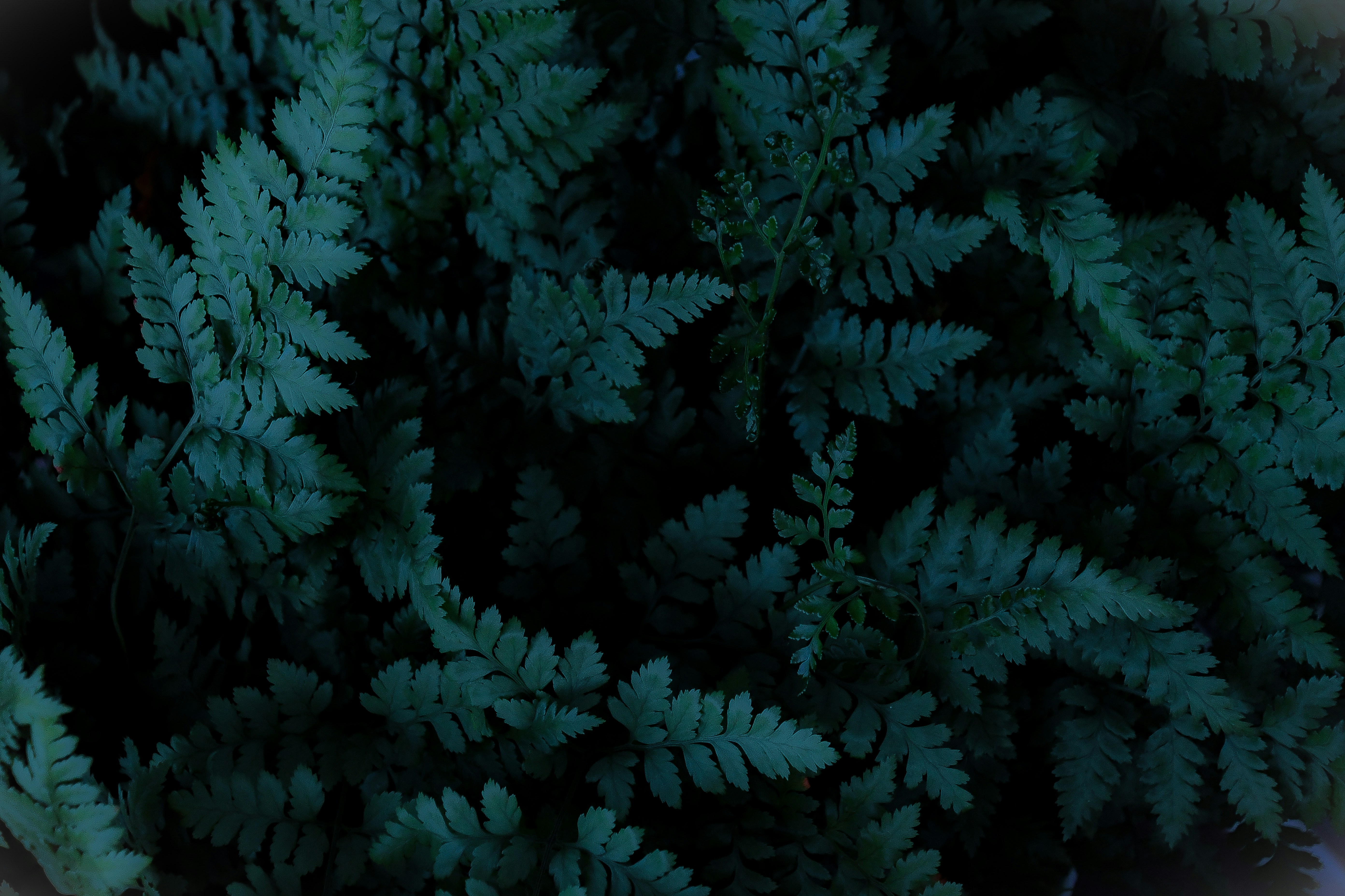 Photo by cooperrobbins