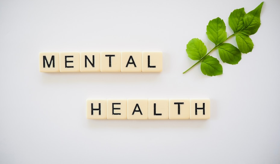 Scrabble tiles spelling out the words 'MENTAL HEALTH' are arranged in two rows on a white background. To the right of the tiles is a small green branch with four leaves.
