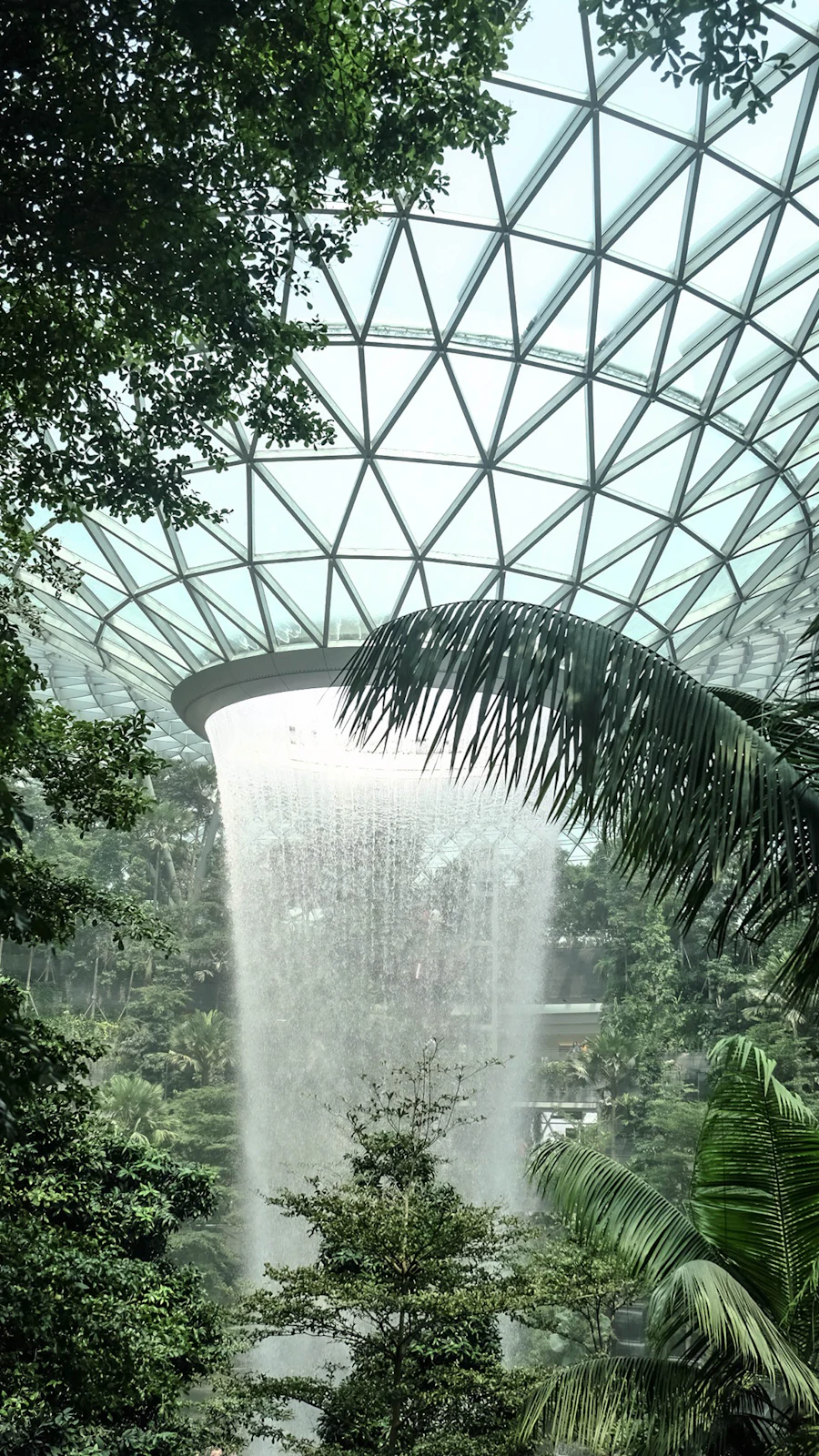 Der Wasserfall im Jewel Changi, der durch ein Glasdach in einen Innenwald fällt