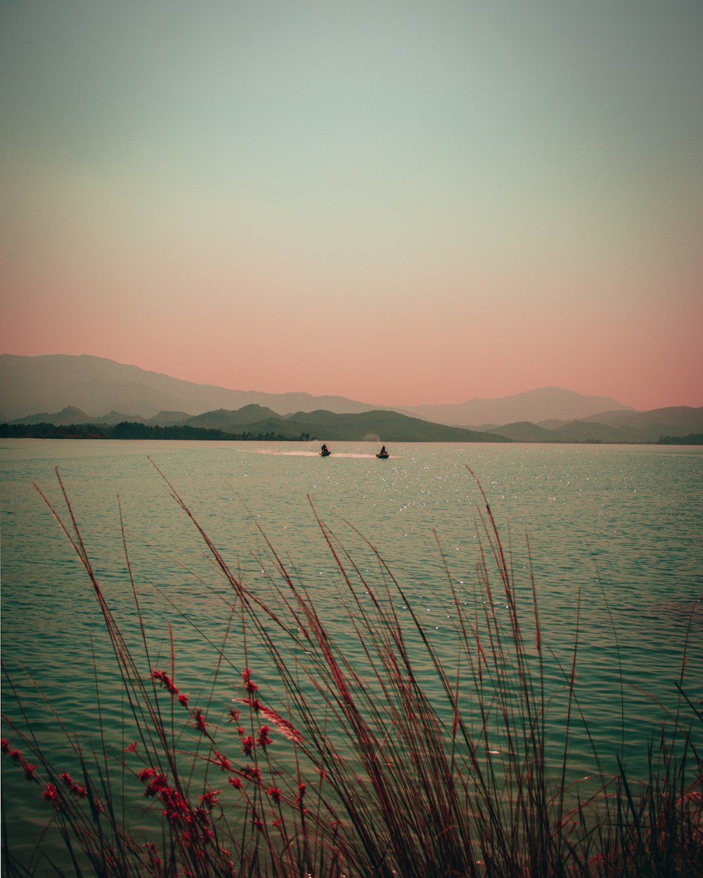 body of water during daytime