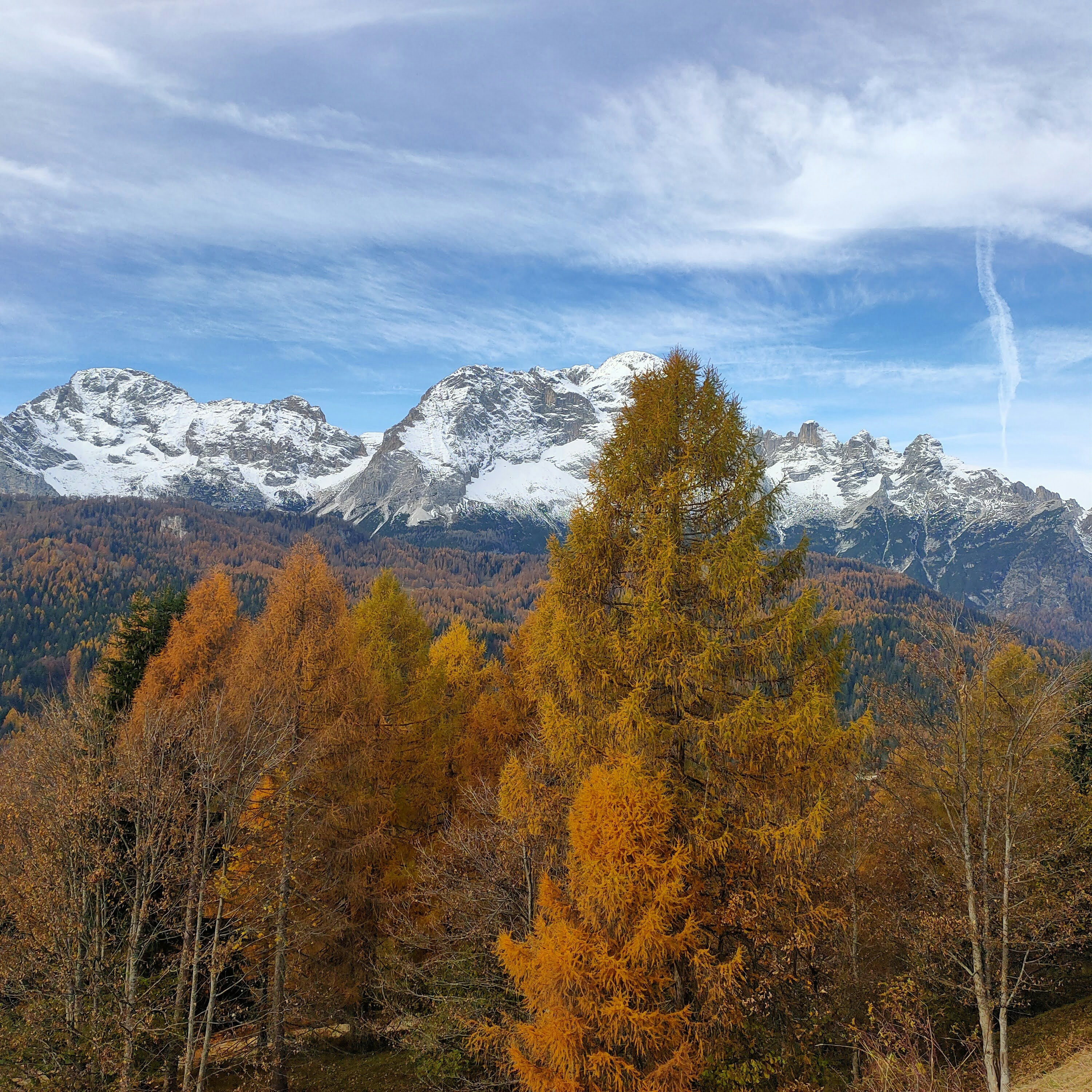 brown and green trees near snow covered mountain during daytime