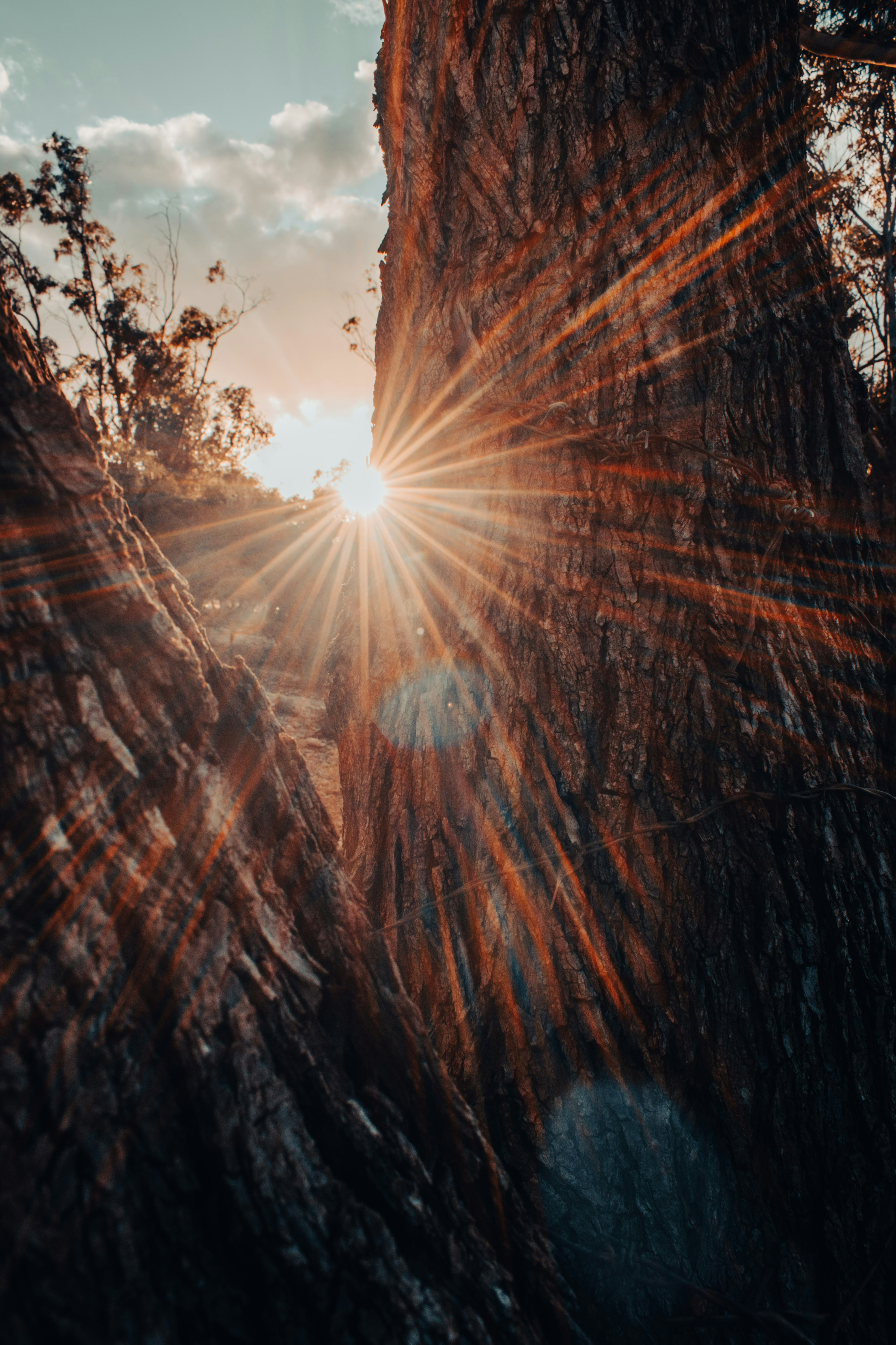 Photo by bilal_ayadi