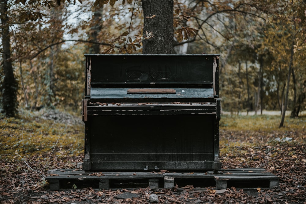 black upright piano on green grass field during daytime