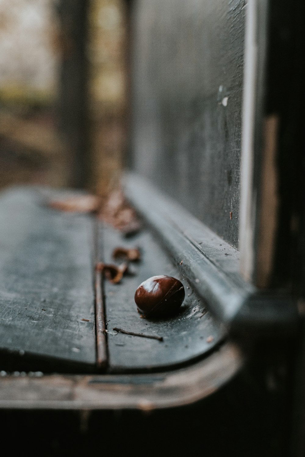 red and black ladybug on black wooden plank