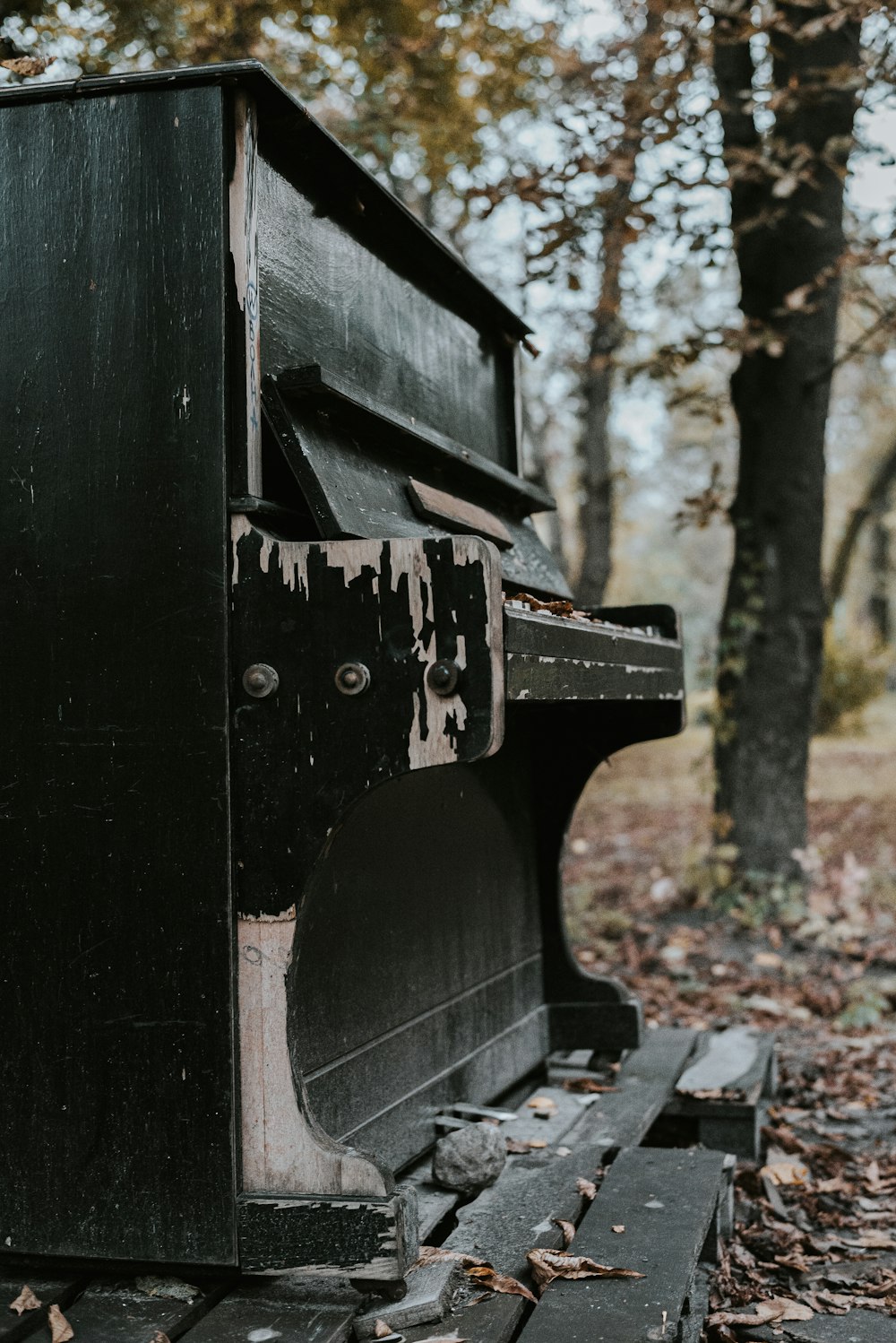 black wooden bench near trees during daytime