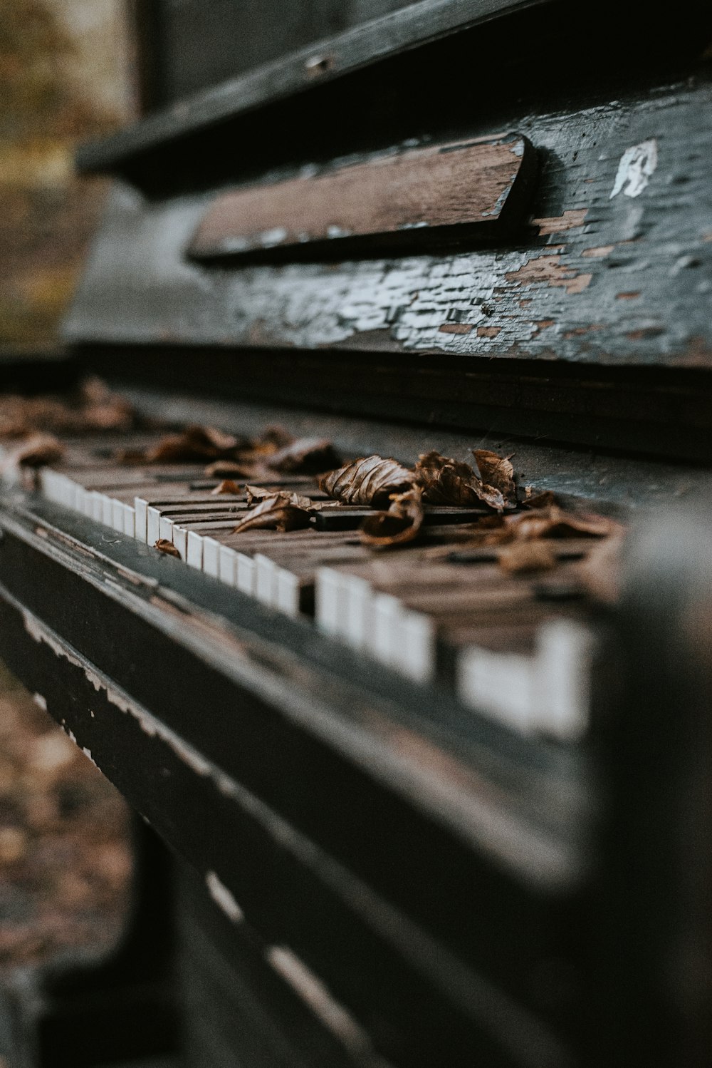 brown wooden plank with brown dried leaves