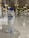 A clear plastic water bottle with a blue label and cap is set on a glossy marble surface. In the background, the interior of a grand building features tall, ornate columns with intricate patterns and soft lighting from gold and white fixtures.