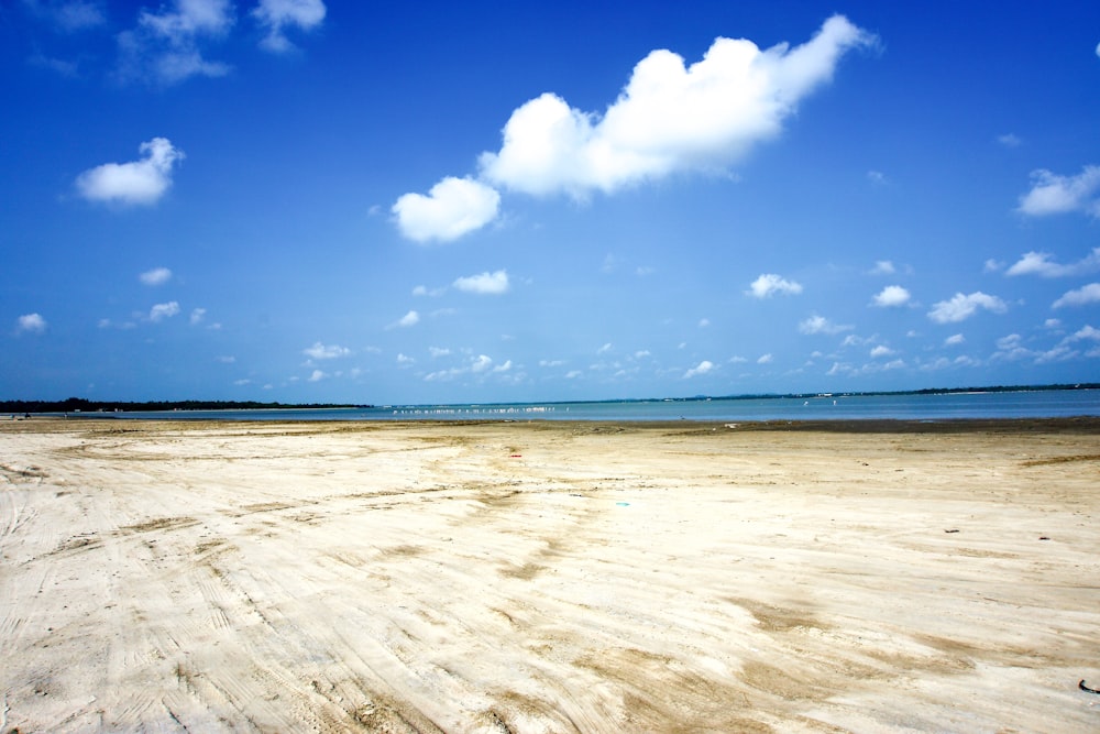white sand beach under blue sky during daytime