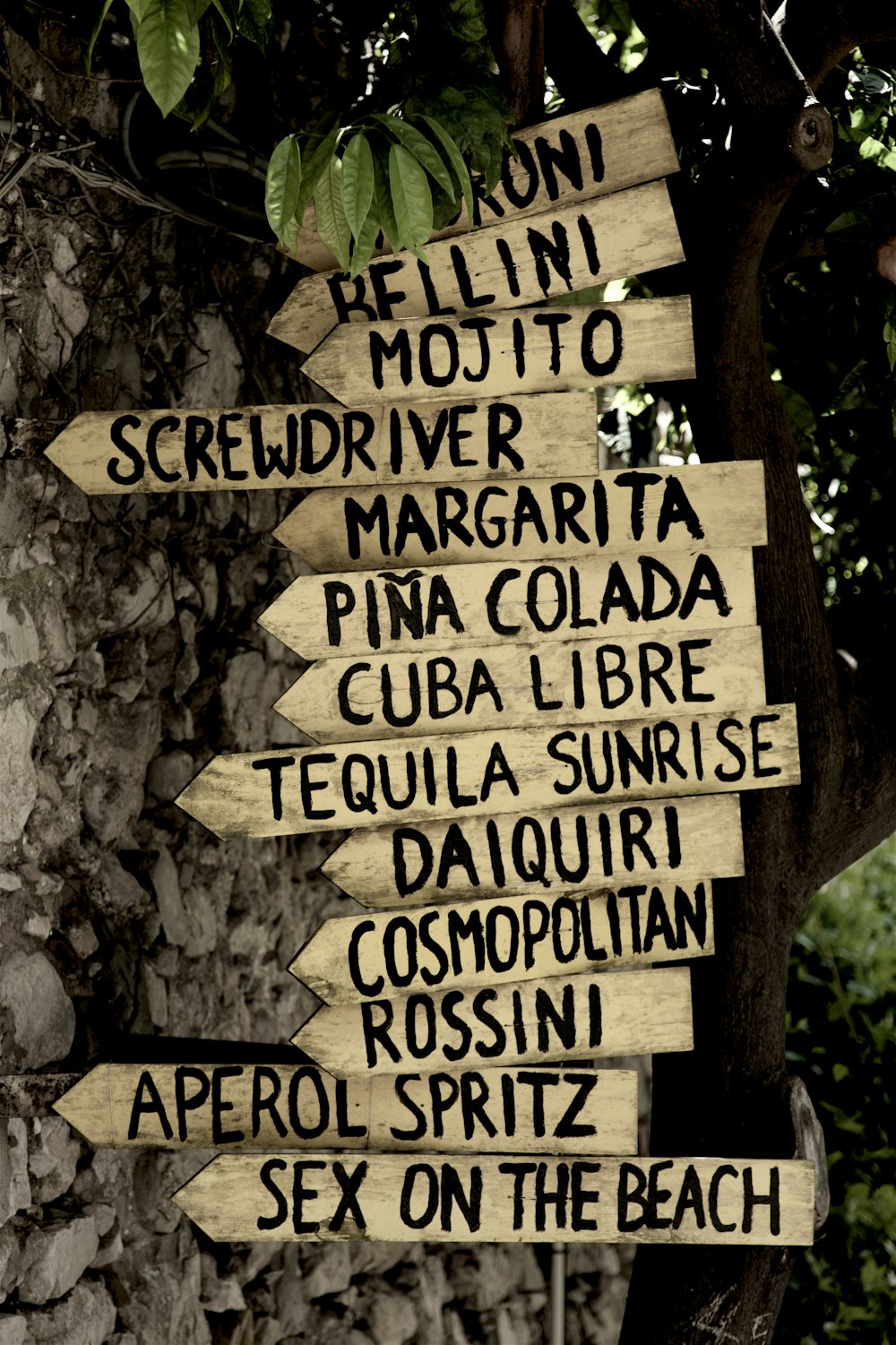 a bunch of wooden signs hanging from a tree