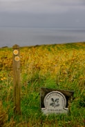 A scenic landscape featuring a lush green field with wildflowers, overlooking a calm, gray sea under a cloudy sky. A wooden pole with two directional arrows stands to the left, next to a National Trust sign labeled 'Forrabury Stitches.'