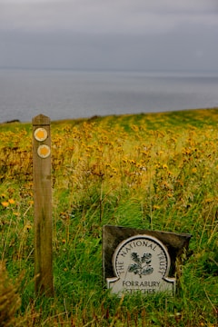 A scenic landscape featuring a lush green field with wildflowers, overlooking a calm, gray sea under a cloudy sky. A wooden pole with two directional arrows stands to the left, next to a National Trust sign labeled 'Forrabury Stitches.'