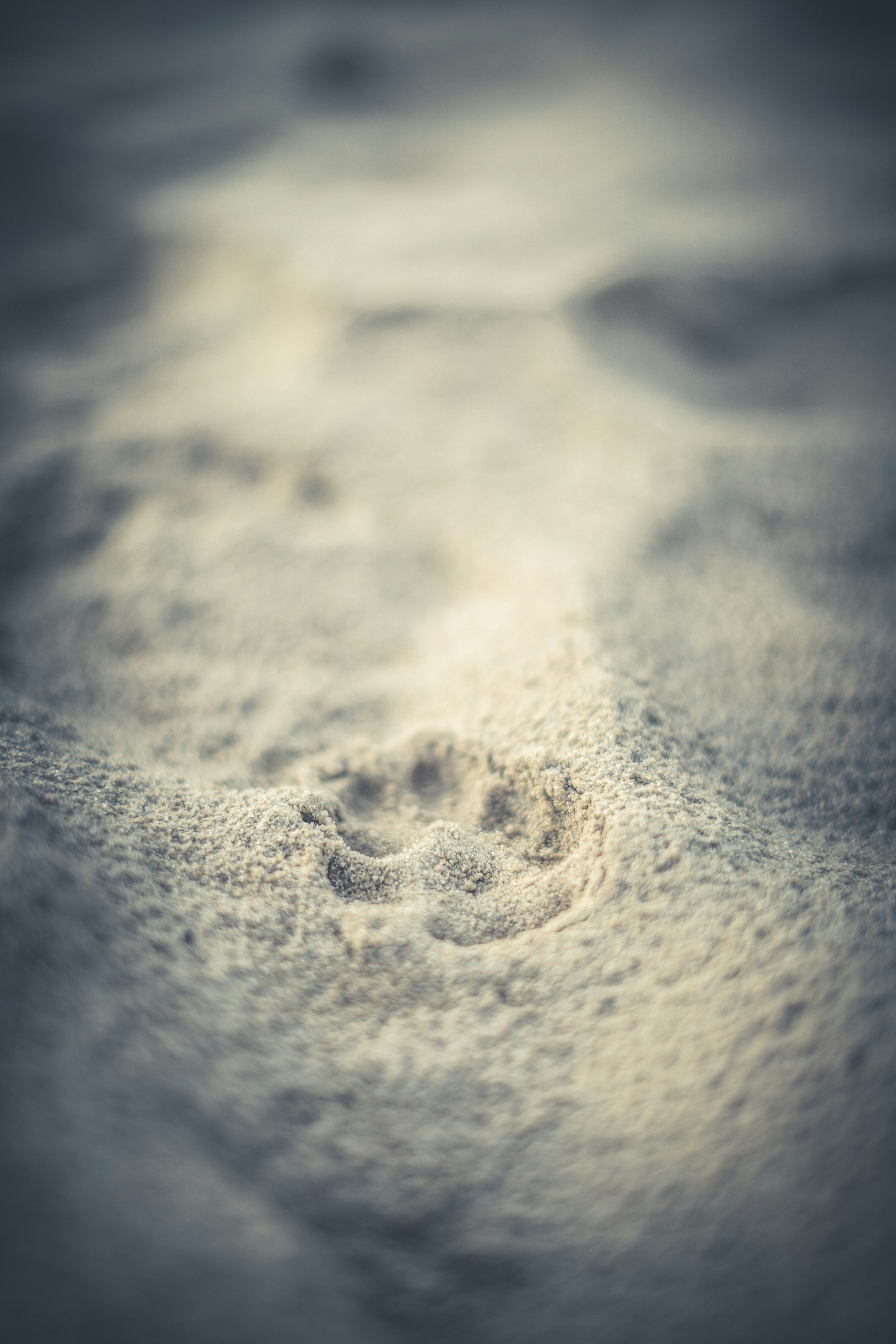 white sand with heart shaped sand