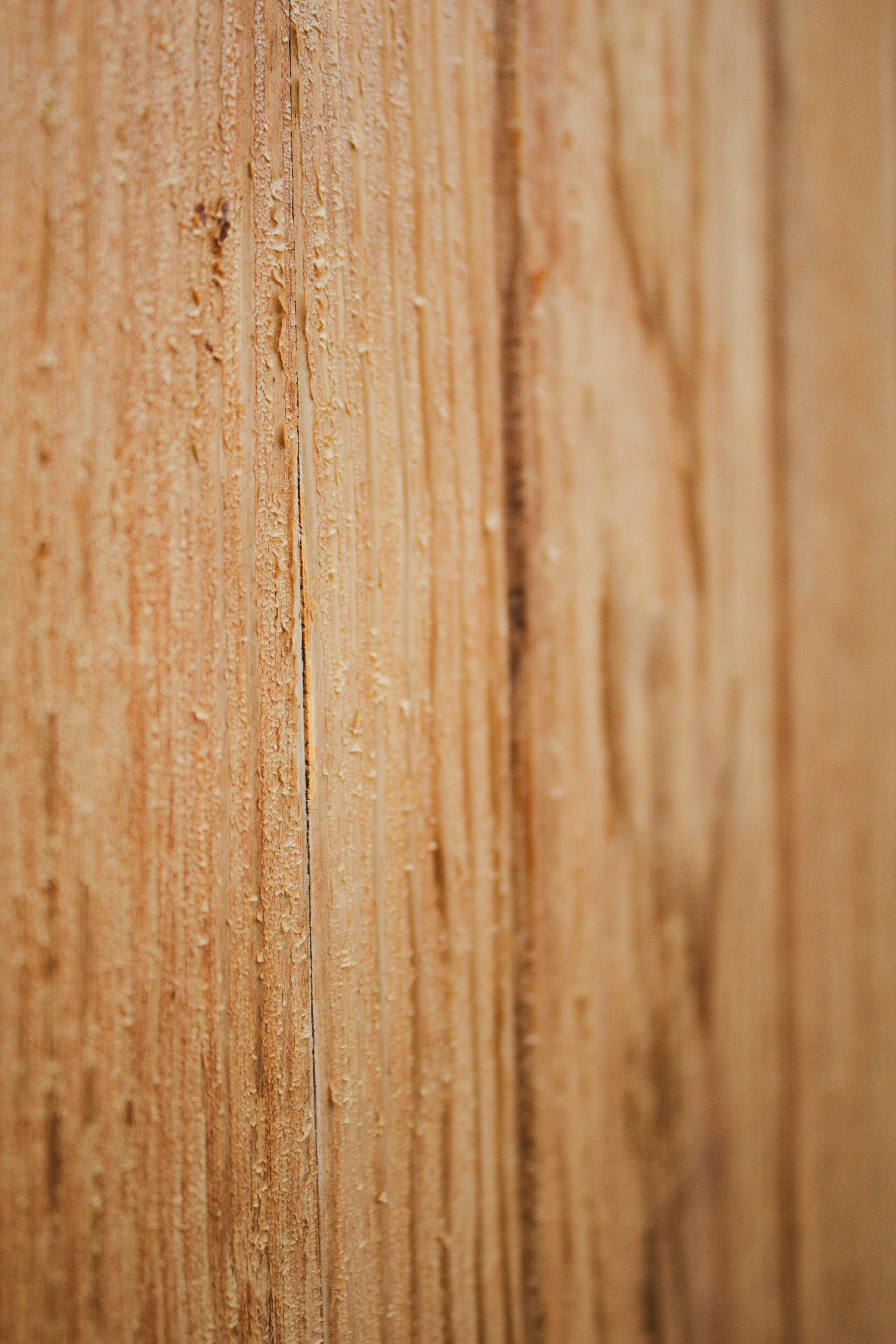 Photo by honeyyanibel