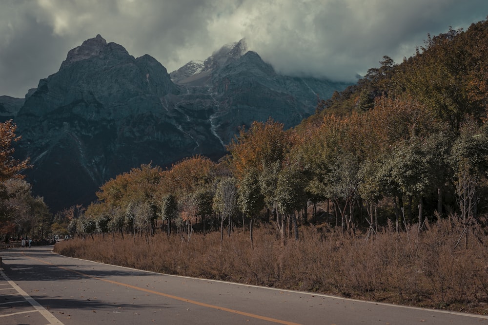 green and brown trees near mountain under white clouds during daytime