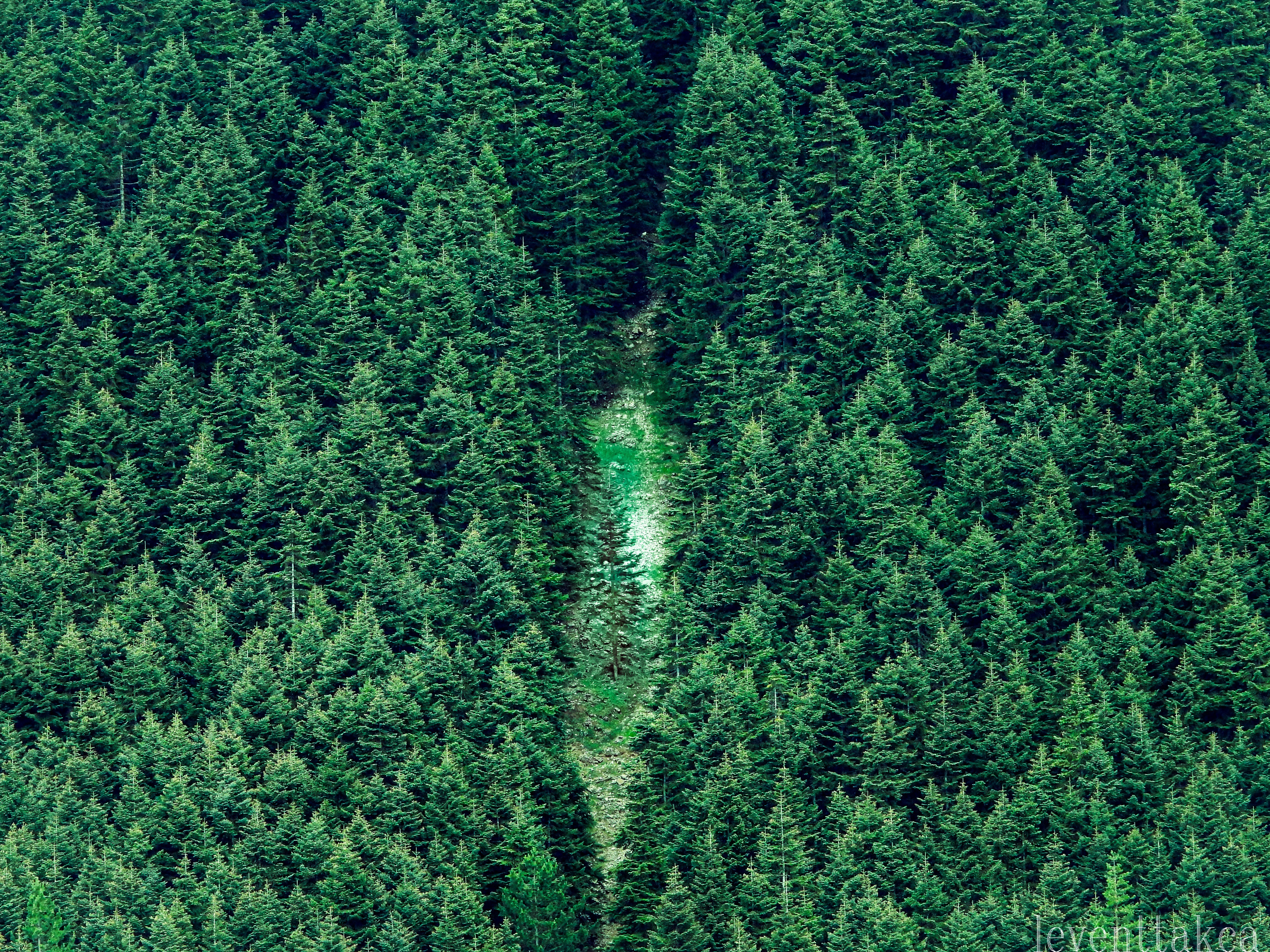 Photo by leventtakca