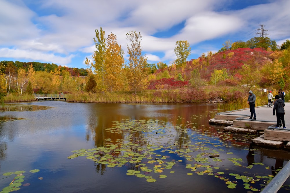 brown and green trees beside river under blue sky during daytime