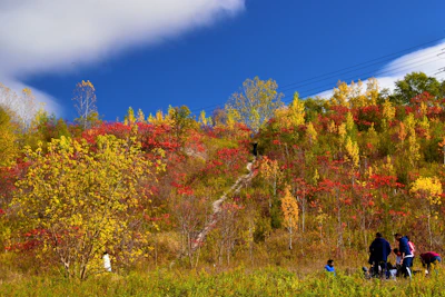 A lively family enjoying a mountain hike surrounded by vibrant fall colors.