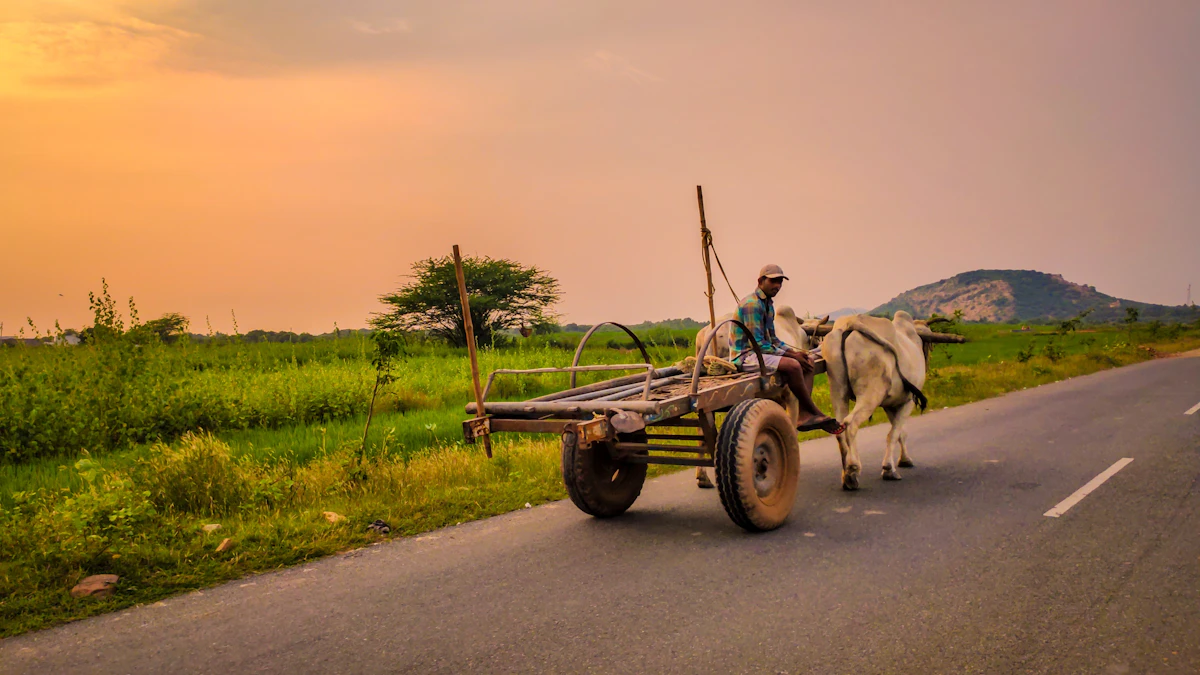 Kalahandi