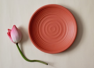 pink and white flower bud beside round red round plate