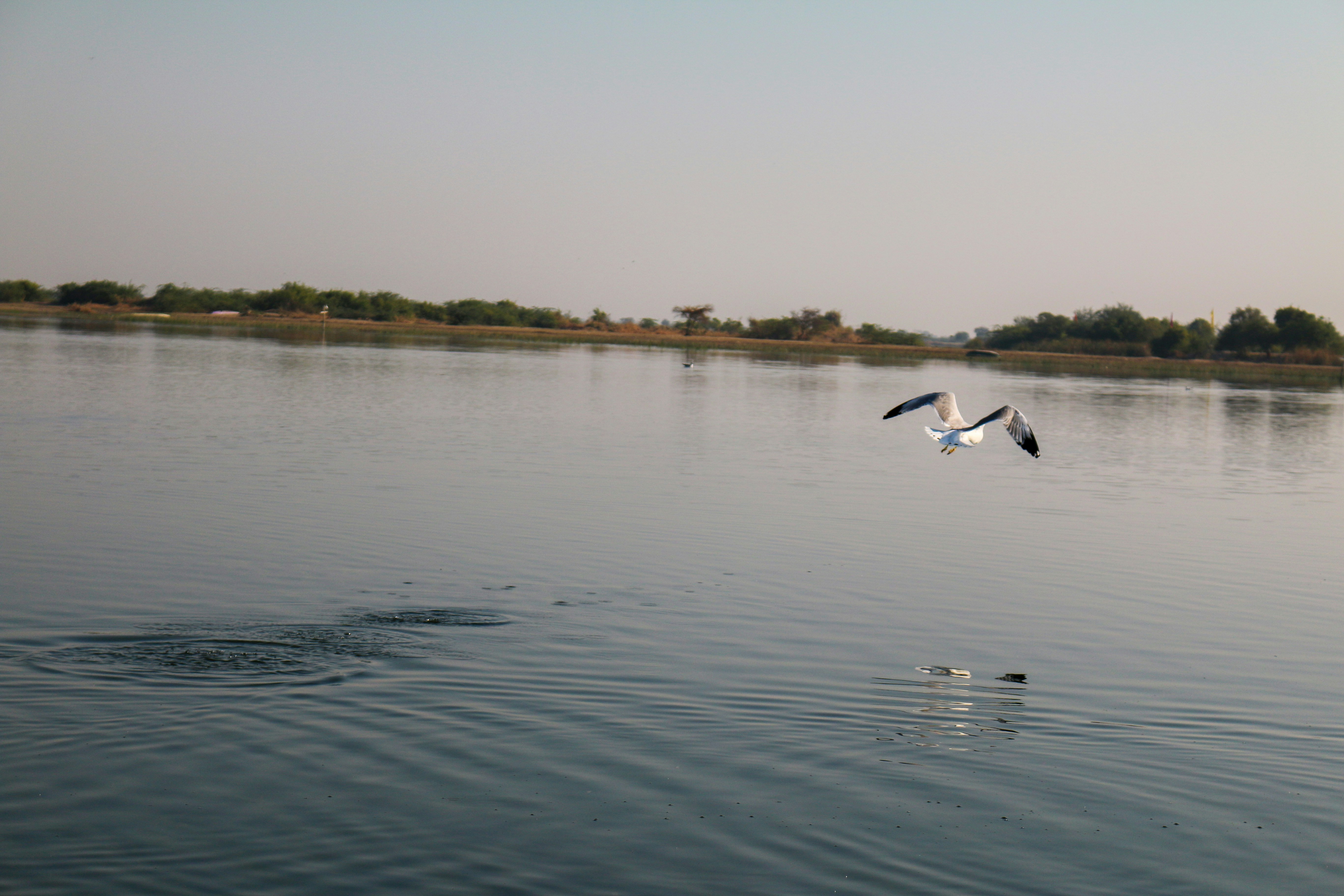 Photo by nneehhaall_13