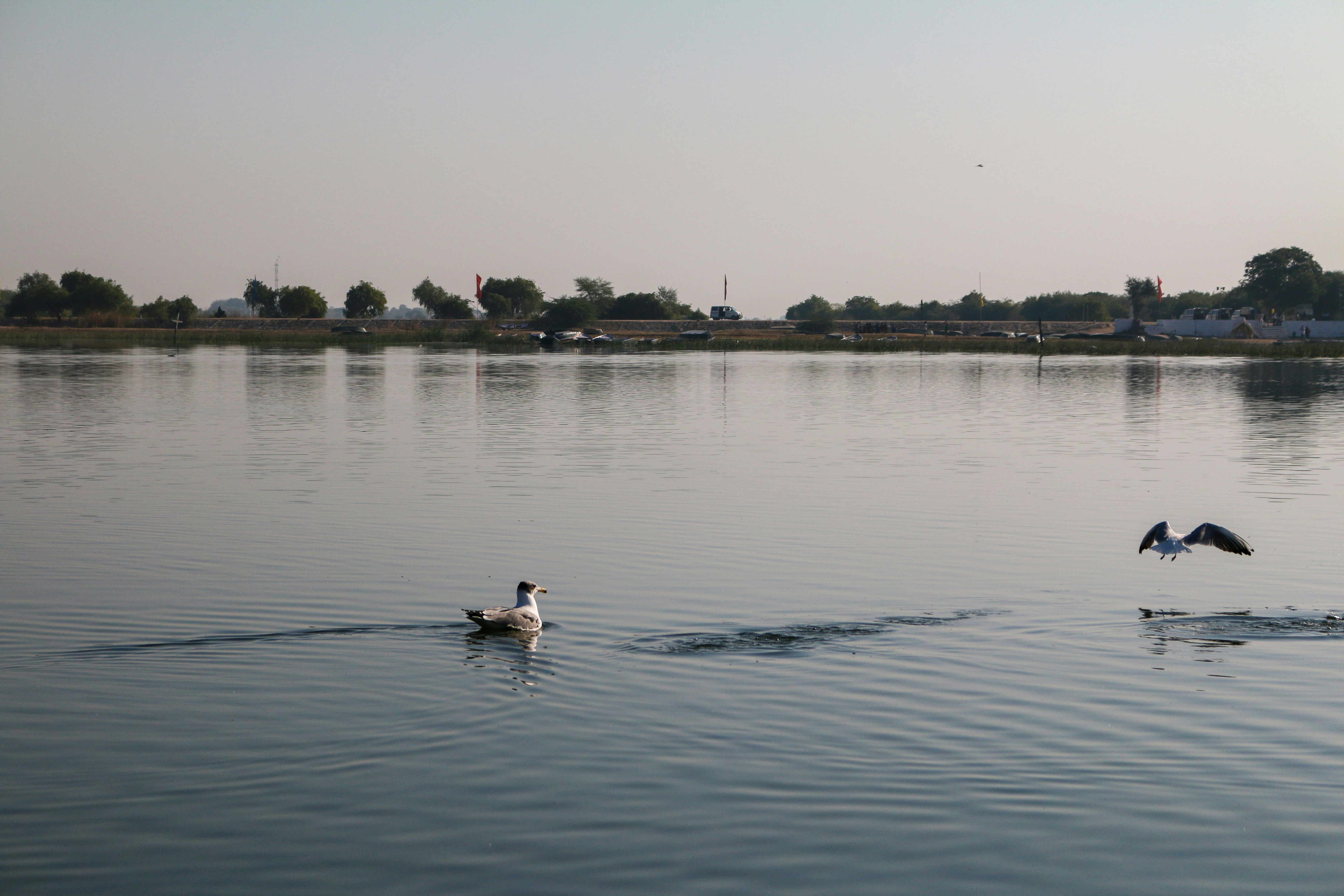 Photo by nneehhaall_13