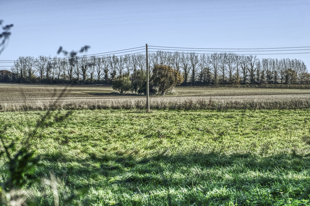 green grass field under blue sky during daytime