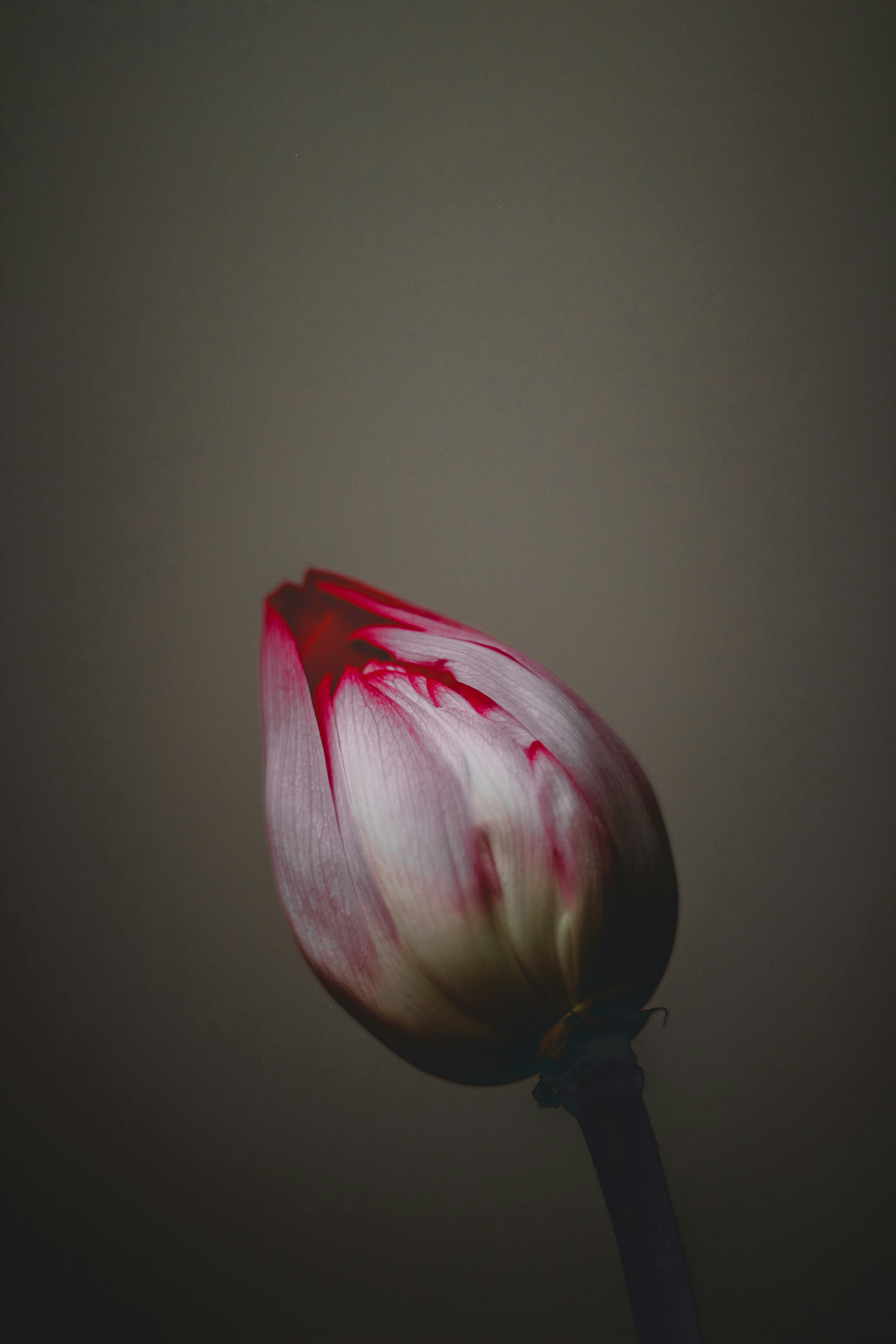Photo by darkandflawed